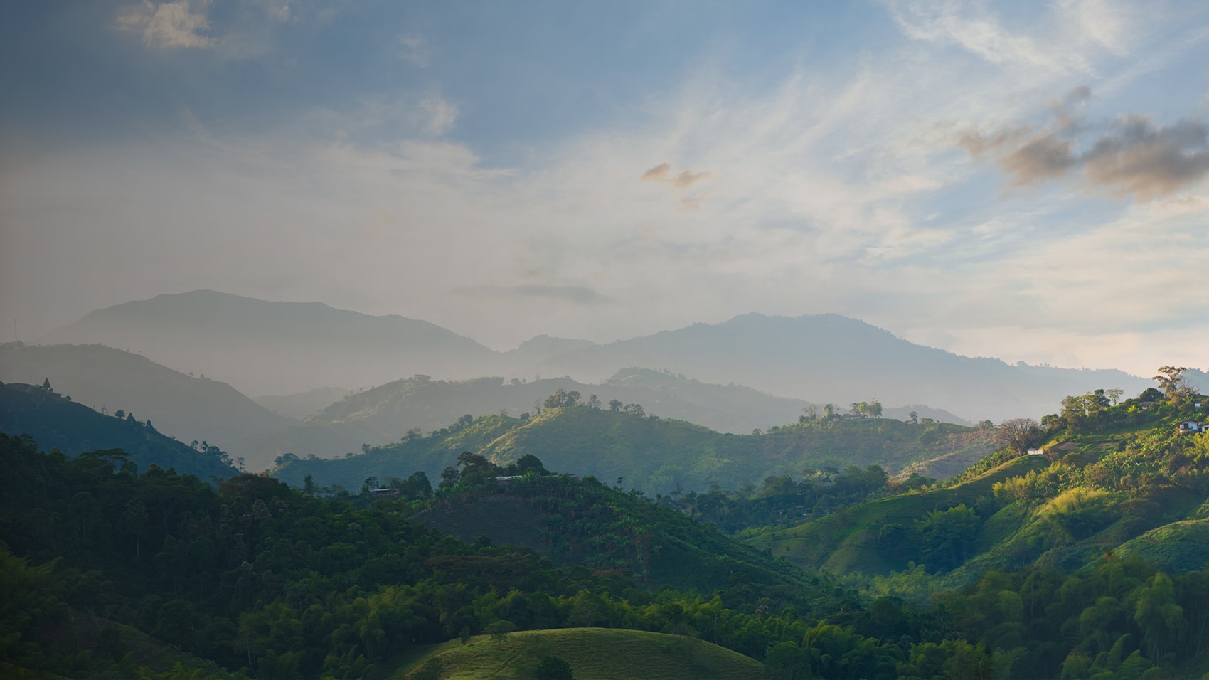 Just Be Coffee Roasters sourcing beans from Latin America